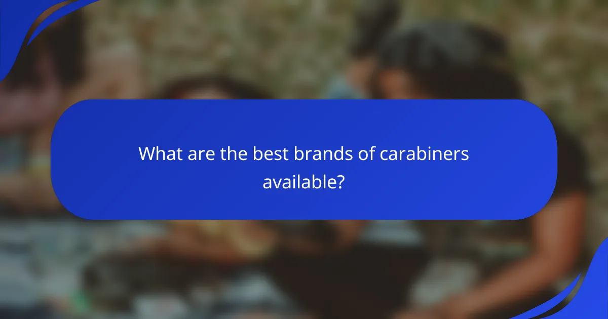 What are the best brands of carabiners available?