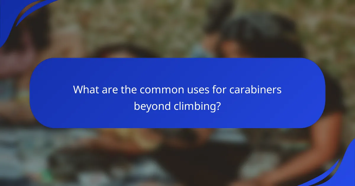 What are the common uses for carabiners beyond climbing?