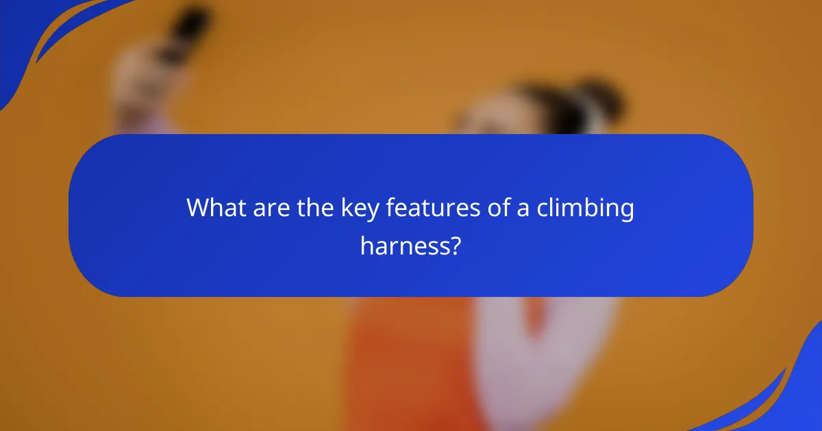 What are the key features of a climbing harness?