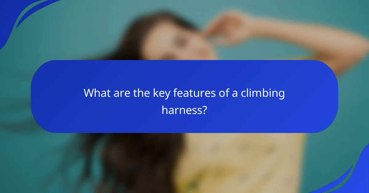 What are the key features of a climbing harness?