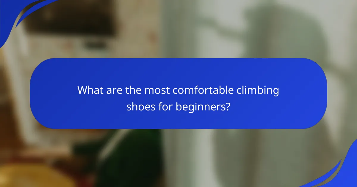What are the most comfortable climbing shoes for beginners?