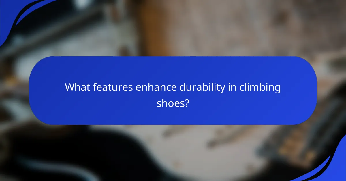 What features enhance durability in climbing shoes?