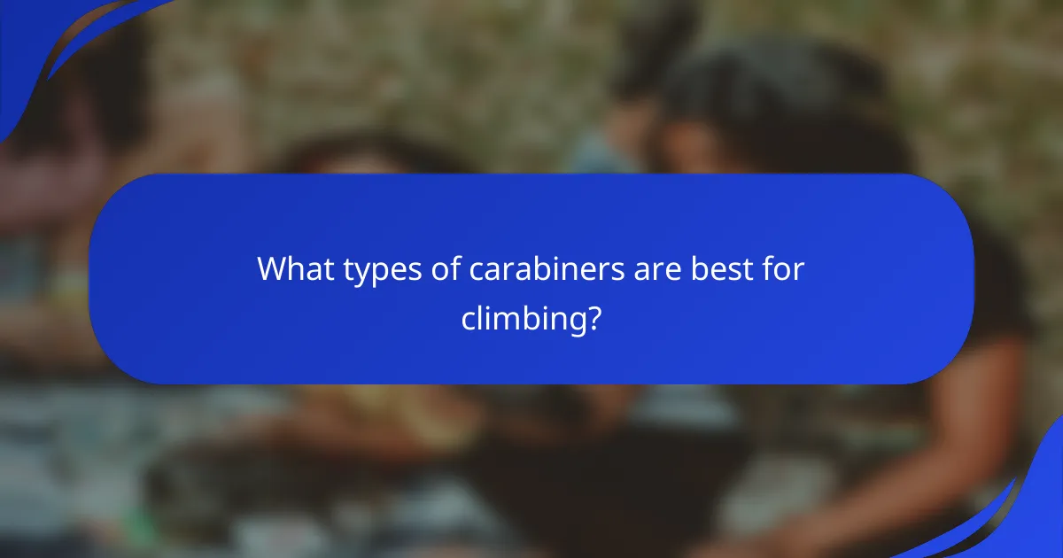 What types of carabiners are best for climbing?